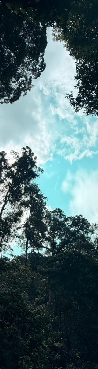 Kanching Falls — hiker photo 1