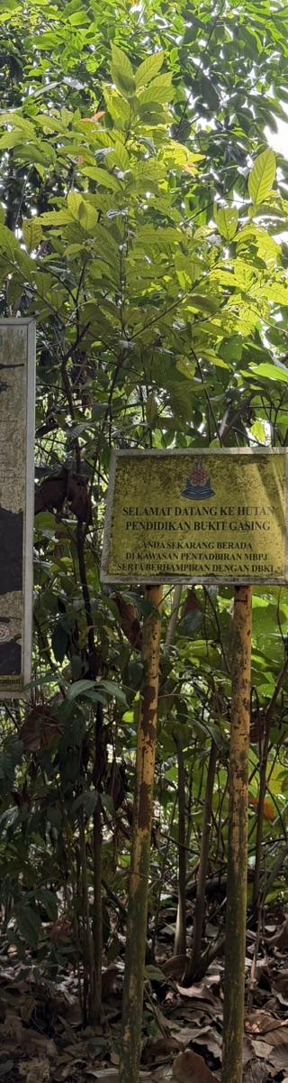 Bukit Gasing — hiker photo 2