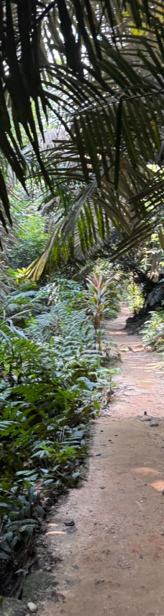 Bukit Gasing — hiker photo 1
