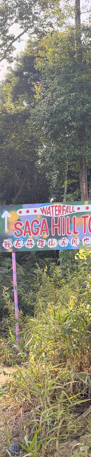 Bukit Sungai Putih — hiker photo 1