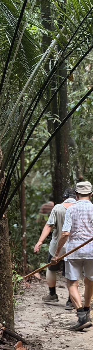 Bukit Gasing — hiker photo 4