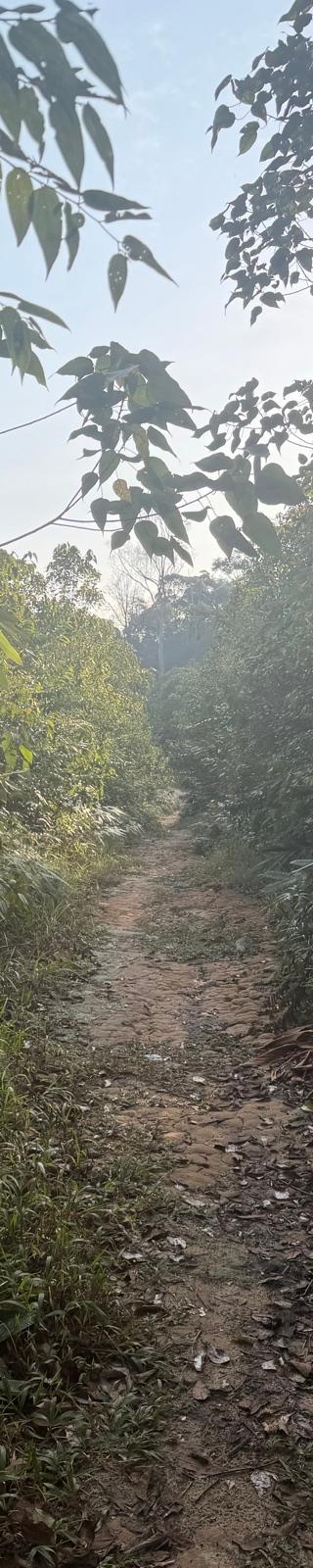Bukit Apek — hiker photo 1