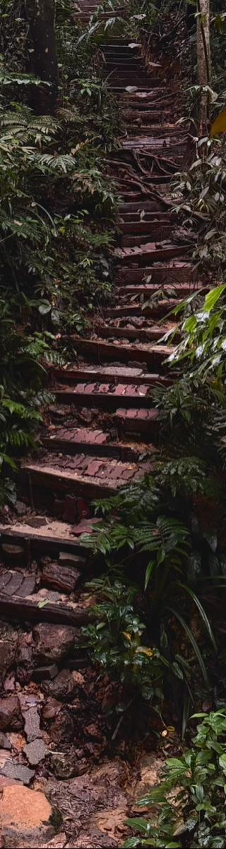Bukit Gasing — hiker photo 3
